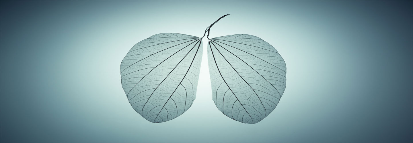 Nindanix – lung cancer treatment